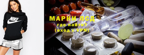 прущие грибы Бабаево