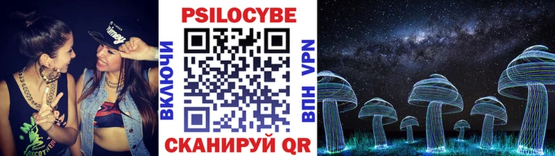 Псилоцибиновые грибы Psilocybine cubensis  как найти закладки  Бежецк 